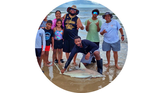 Innocent Family - Shark Charter