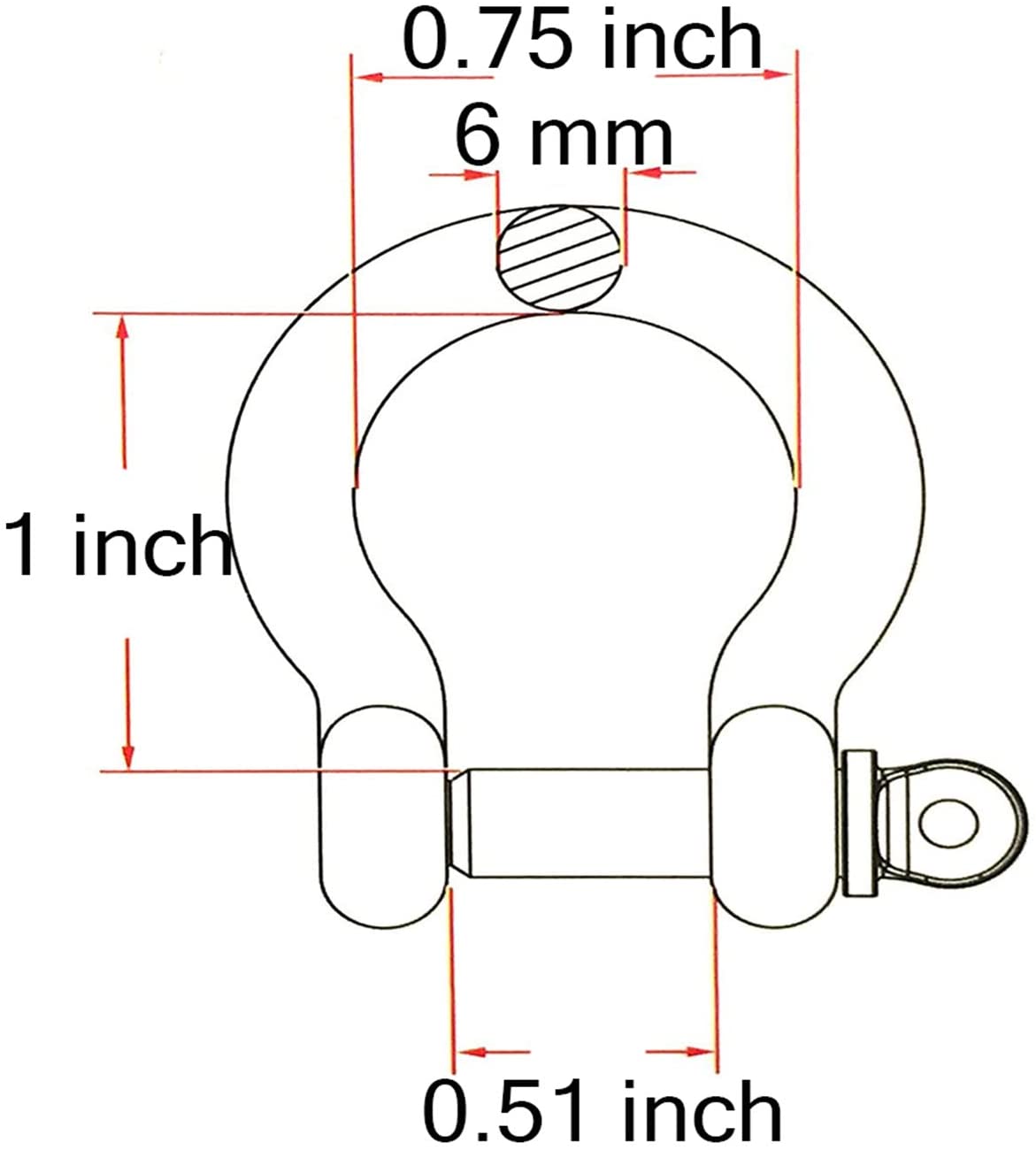 D Ring Shackles - 1/4 Inch 304 Stainless Steel - 2 pack