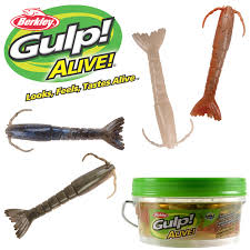 Berkley® Gulp!® Saltwater Shrimp 3 IN